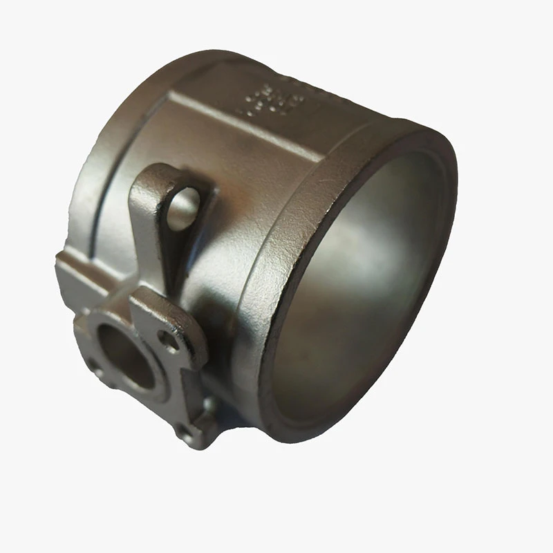 spark plug oem